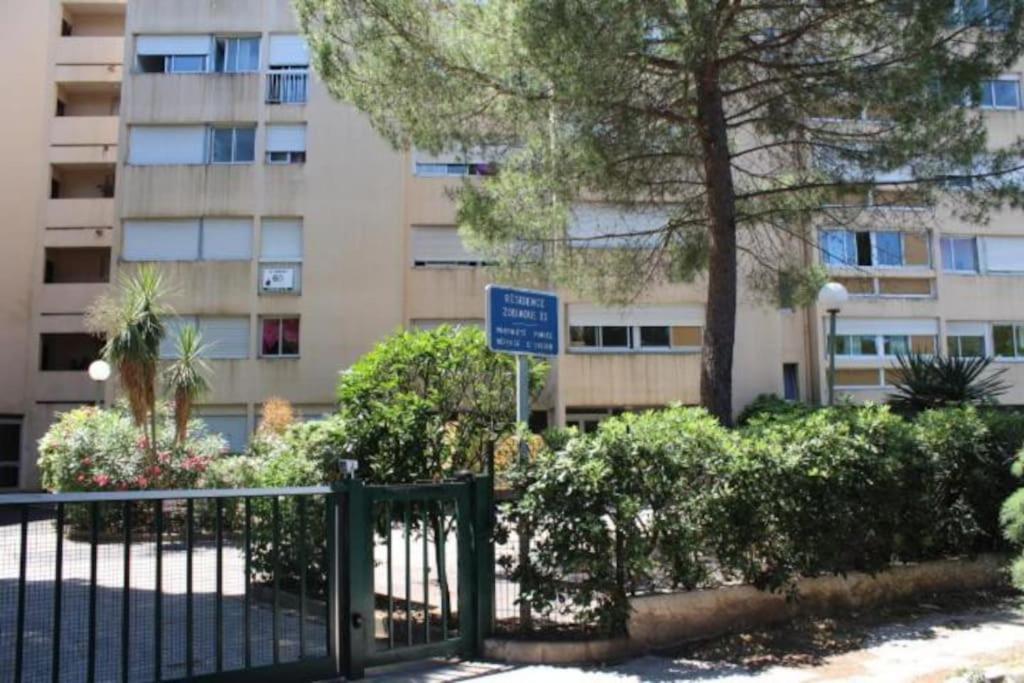 Studio Hyeres Port Et Iles D'Or. Екстер'єр фото