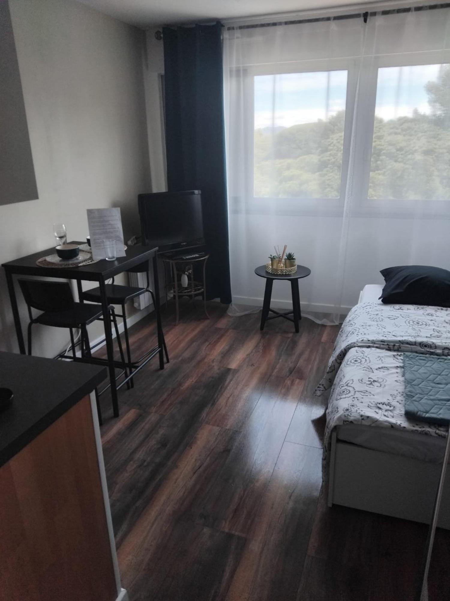 Studio Hyeres Port Et Iles D'Or. Екстер'єр фото
