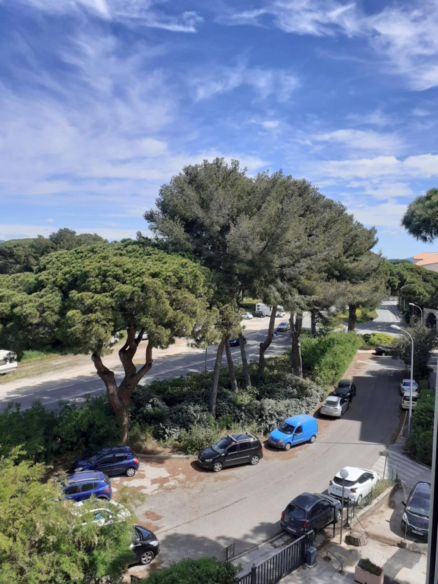 Studio Hyeres Port Et Iles D'Or. Екстер'єр фото