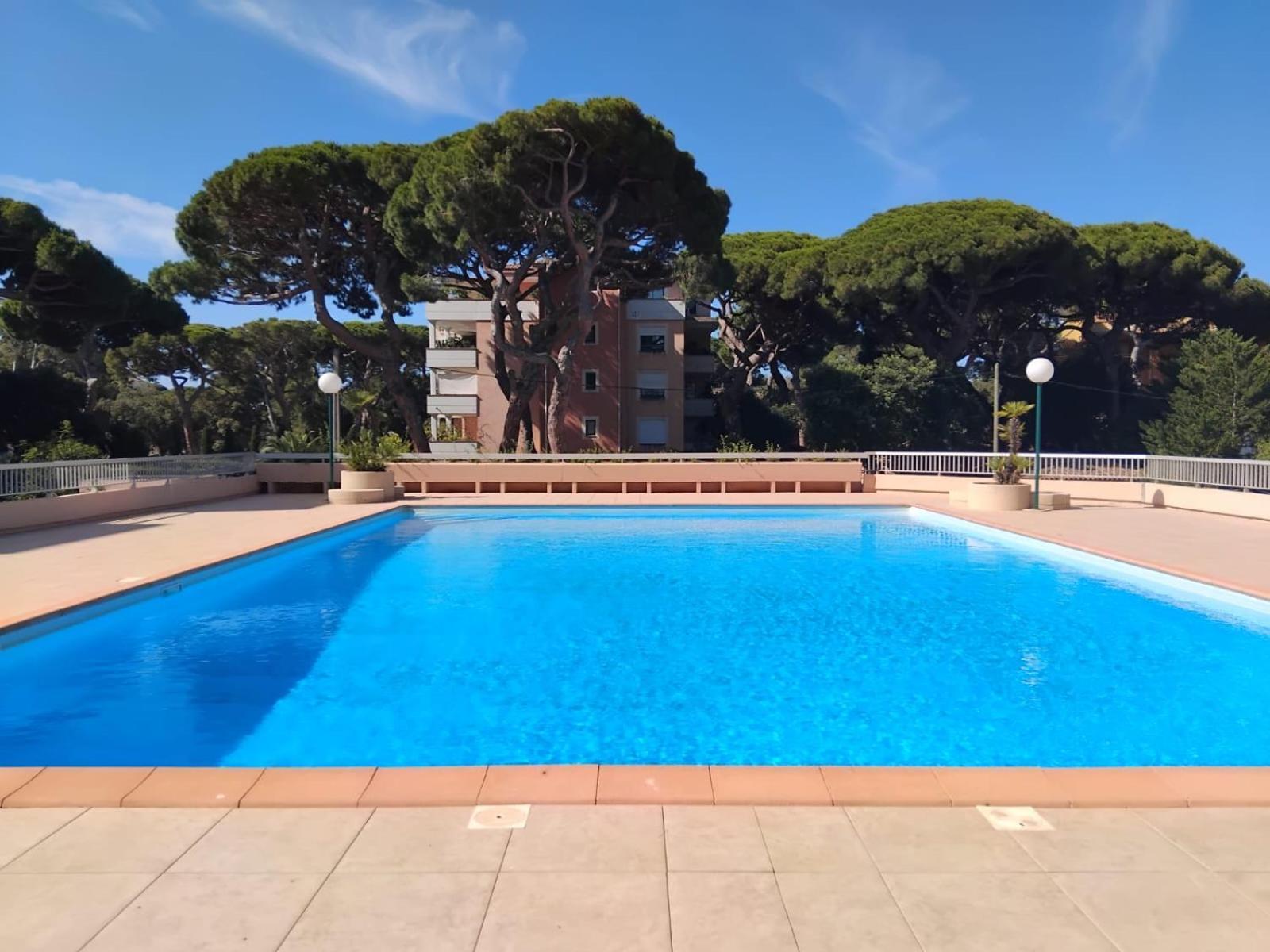 Studio Hyeres Port Et Iles D'Or. Екстер'єр фото