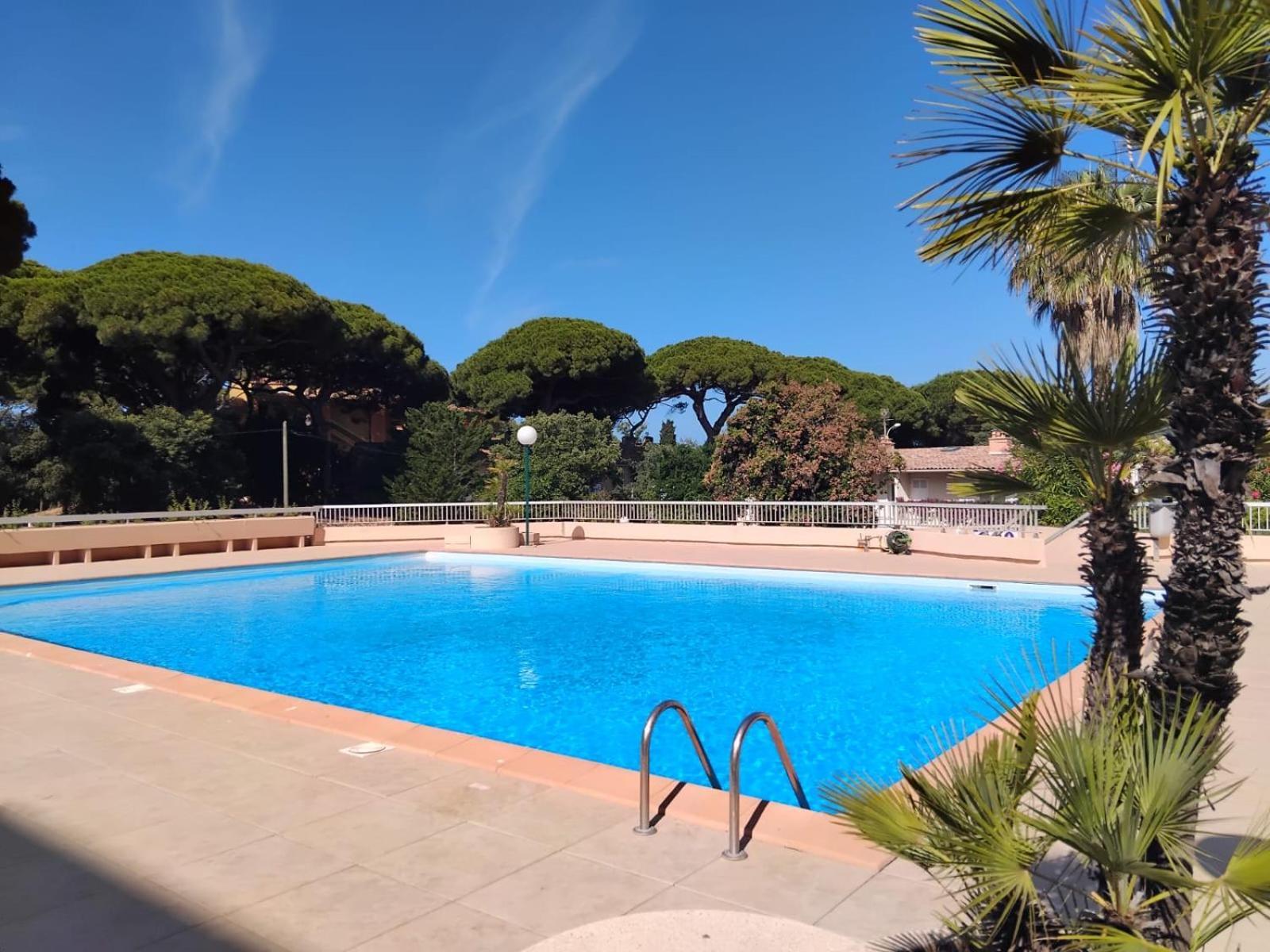 Studio Hyeres Port Et Iles D'Or. Екстер'єр фото